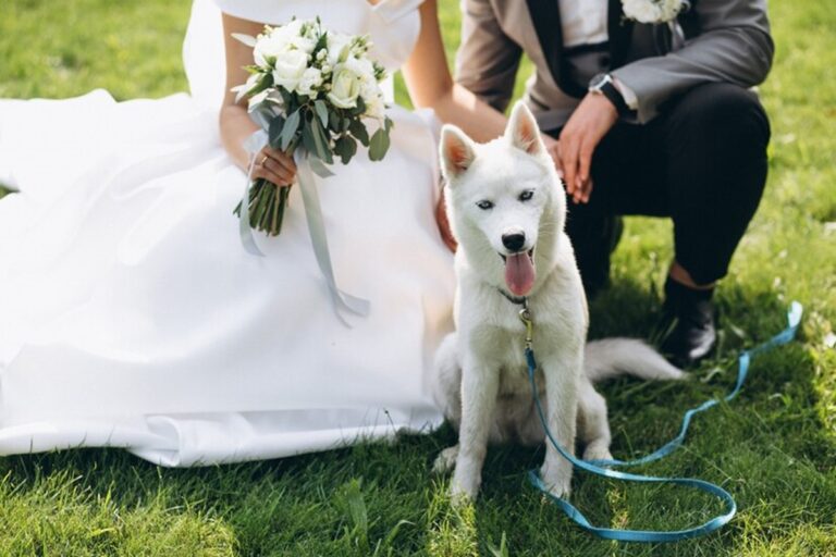 Can You Bring a Dog to a Wedding? The Ultimate Guide for Pet-Friendly Celebrations